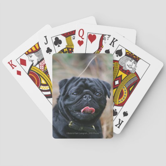 Black Pug Panting terwijl het bekijken van Camera Pokerkaarten (Achterkant)