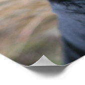 Black Pug Panting terwijl het bekijken van Camera Poster (Hoek)