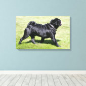 Black Pug Panting tijdens het lopen Canvas Afdruk (Insitu (Houten vloer))
