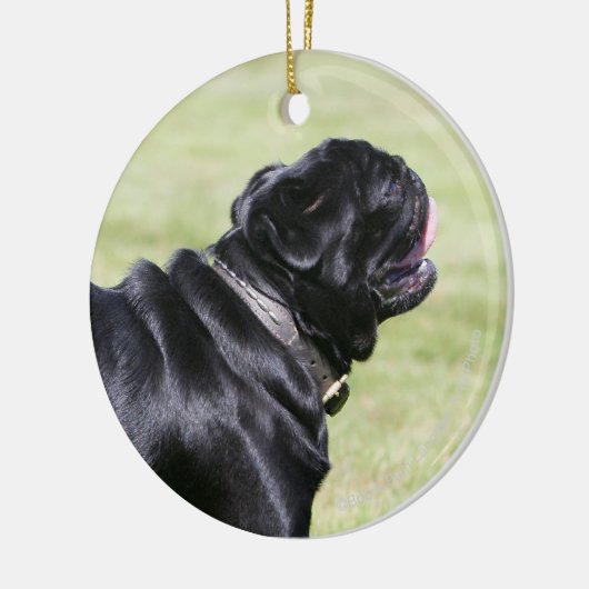Black Pug Panting tijdens het lopen Keramisch Ornament (Links)