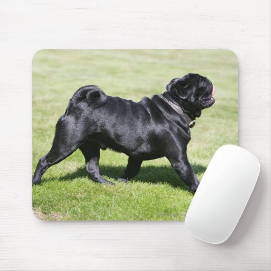 Black Pug Panting tijdens het lopen Muismat (Met muis)