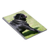 Black Pug Panting tijdens het lopen Notitieboek (Rechterzijde)