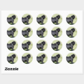 Black Pug Panting tijdens het lopen Ronde Sticker (Vel)