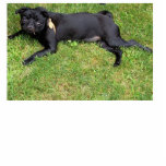 Black Pug Photo Sculpture Staand Fotobeeldje<br><div class="desc">Black Pug Sculpture is uniek en schattig voor elke muisliefhebber.</div>