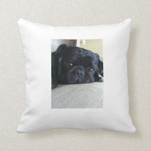 Black Pug Pillow Kussen