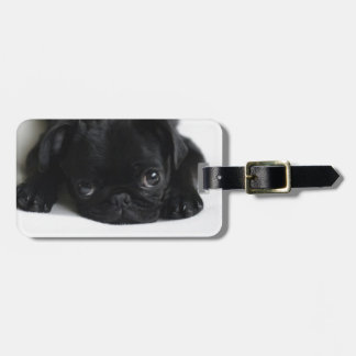 Black Pug Puppy Bagagelabel