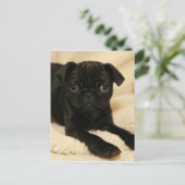 Black Pug Puppy Briefkaart (Staand voorkant)