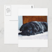 Black Pug Puppy Briefkaart (Voorkant / Achterkant)