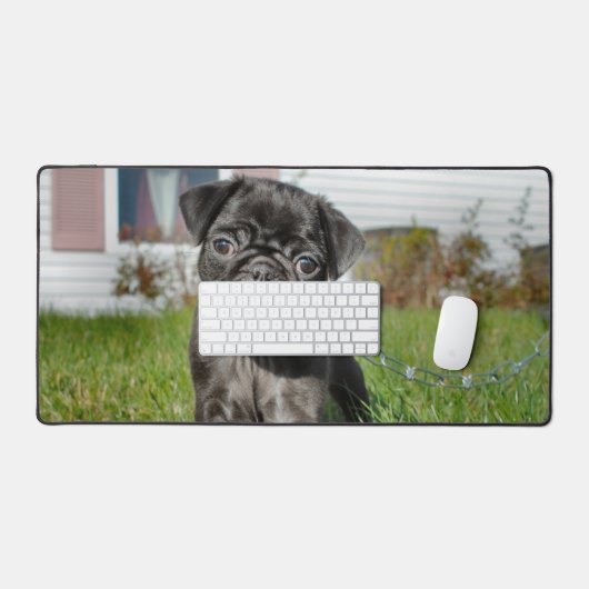 Black Pug Puppy Bureaumat (Keyboard & Muis)