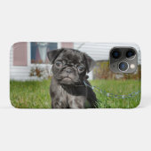 Black Pug puppy Case-Mate iPhone Case (Achterkant (horizontaal))
