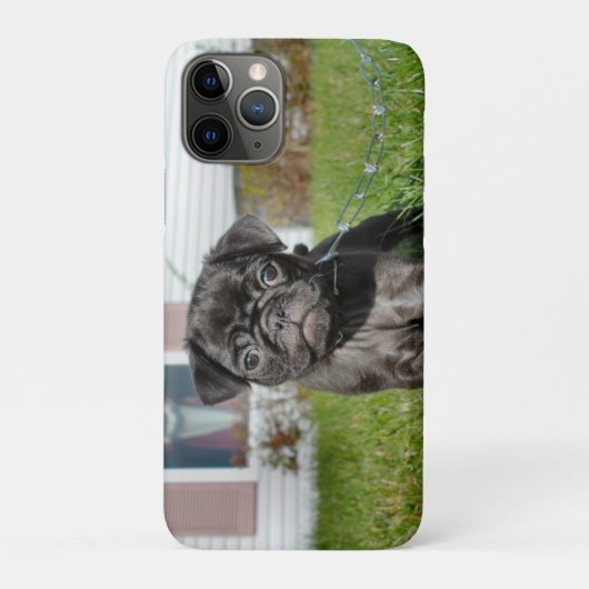 Black Pug puppy Case-Mate iPhone Case (Achterkant)