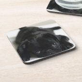 Black Pug Puppy Drankjes Onderzetter (Linkerzijde)
