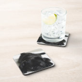 Black Pug Puppy Drankjes Onderzetter (Rechterzijde)