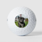 Black Pug puppy Golfballen (Voorkant)