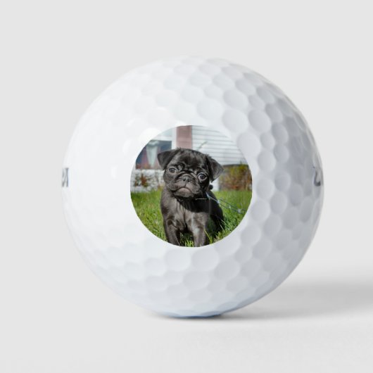 Black Pug puppy Golfballen (Voorkant)