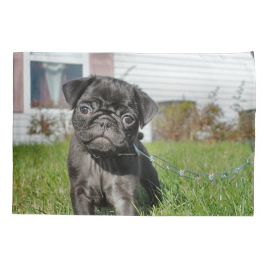 Black Pug puppy Kussensloop (Achterkant)