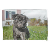 Black Pug puppy Kussensloop (Voorkant)