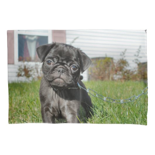 Black Pug puppy Kussensloop (Voorkant)