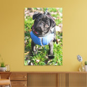 Black Pug Puppy met jas Canvas Afdruk (Insitu (Woonkamer))