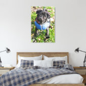 Black Pug Puppy met jas Canvas Afdruk (Insitu (Slaapkamer))
