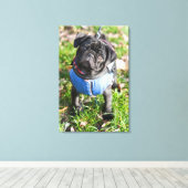 Black Pug Puppy met jas Canvas Afdruk (Insitu (Houten vloer))
