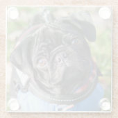 Black Pug Puppy met jas Glazen Onderzetter (Achterkant)