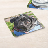 Black Pug Puppy met jas Kartonnen Onderzetters (Schuin)