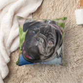Black Pug Puppy met jas Kussen (Deken)