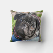 Black Pug Puppy met jas Kussen (Achterkant)