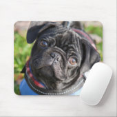 Black Pug Puppy met jas Muismat (Met muis)