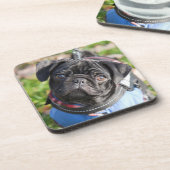 Black Pug Puppy met jas Onderzetter (Linkerzijde)