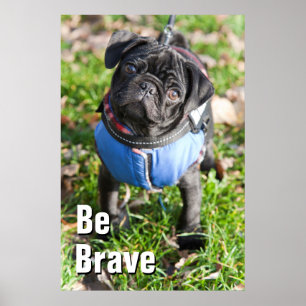 Black Pug Puppy met jas Poster