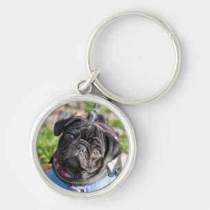 Black Pug Puppy met jas Sleutelhanger