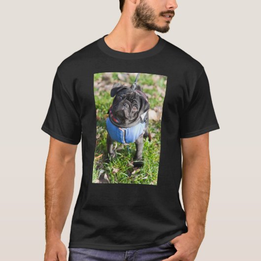 Black Pug Puppy met jas T-shirt (Voorkant)
