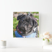 Black Pug Puppy met jas Vierkante Klok (Huis)