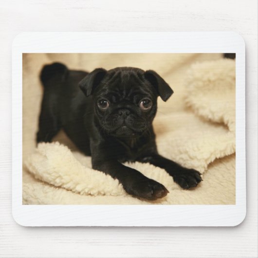 Black Pug Puppy Muismat (Voorkant)
