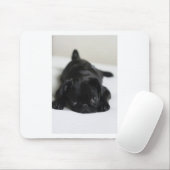 Black Pug Puppy Muismat (Met muis)