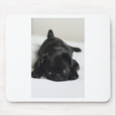 Black Pug Puppy Muismat (Voorkant)