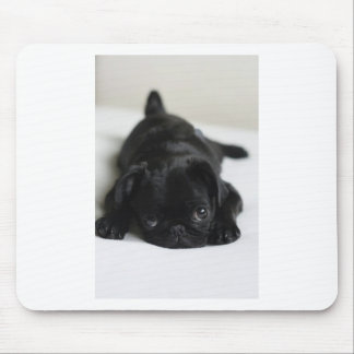 Black Pug Puppy Muismat
