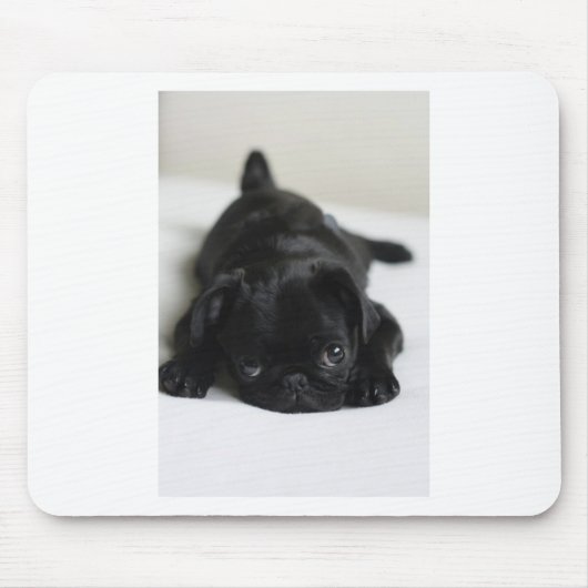 Black Pug Puppy Muismat (Voorkant)
