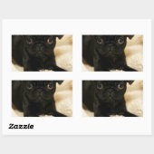 Black Pug Puppy Rechthoekige Sticker (Vel)