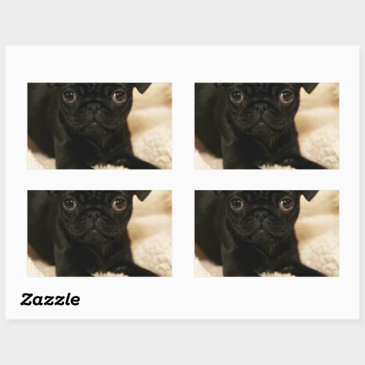 Black Pug Puppy Rechthoekige Sticker (Vel)