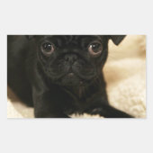 Black Pug Puppy Rechthoekige Sticker (Voorkant)