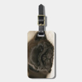 Black Pug Puppy Slaping Bagagelabel (Voorkant verticaal)