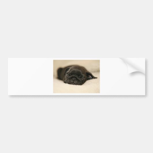 Black Pug Puppy Slaping Bumpersticker (Voorkant)