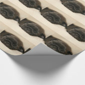 Black Pug Puppy Slaping Cadeaupapier (Hoek)