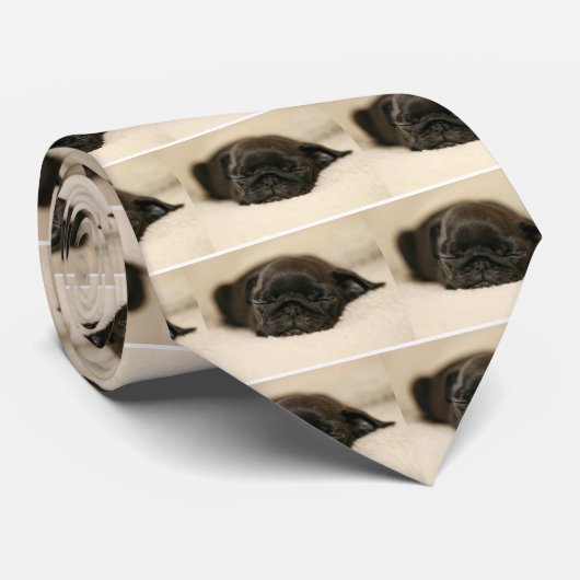 Black Pug Puppy Slaping Stropdas (Opgerold)