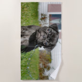 Black Pug Puppy Strandlaken (Voorkant)