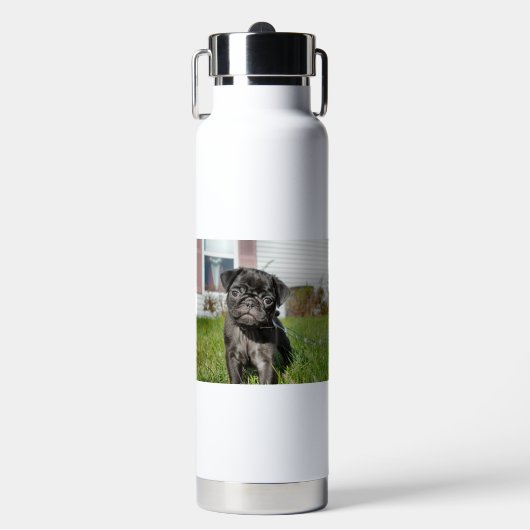Black Pug Puppy Waterfles (Voorkant)