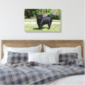 Black Pug Standing View Camera Canvas Afdruk (Insitu (Slaapkamer))
